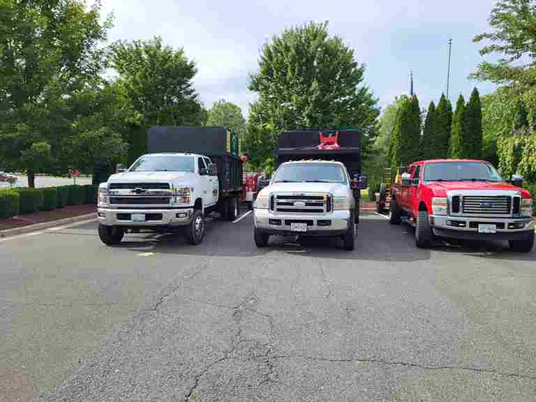 The #1 Tree Service Northern Virginia