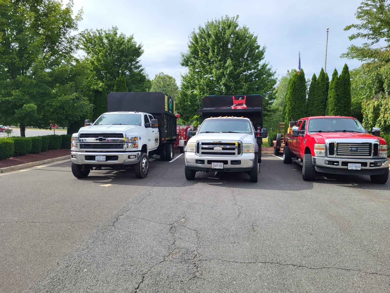 The top 1 Tree Service Virginia The top 1 Tree Service Virginia