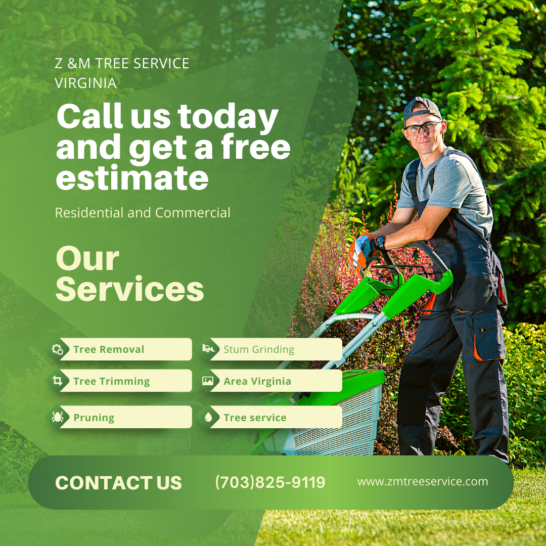 The Best Tree Trimming Service in Culpeper