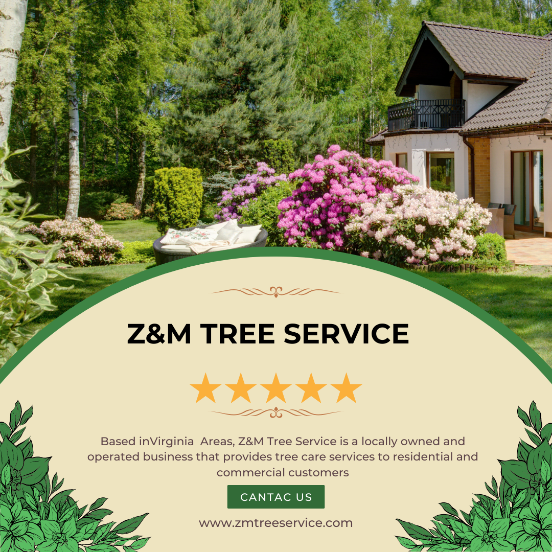 Tree Removal Mclean tree removal cclean