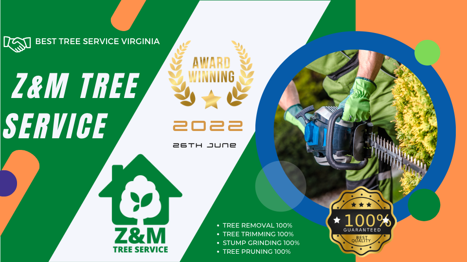 zm tree service virginia