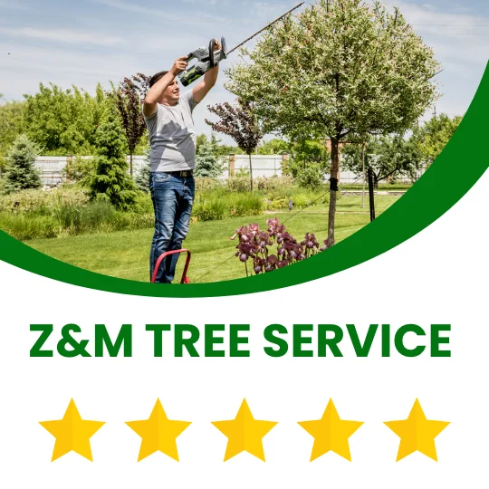 z&m tree service tennessee z&m tree service tennessee